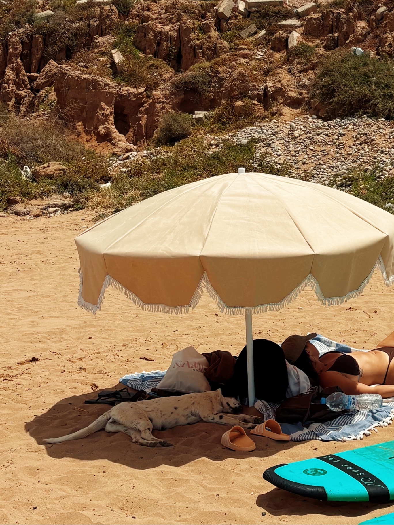 Beach umbrella and sleepy dog
